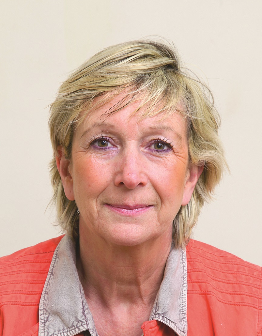 Dominique Boullenger - Copie